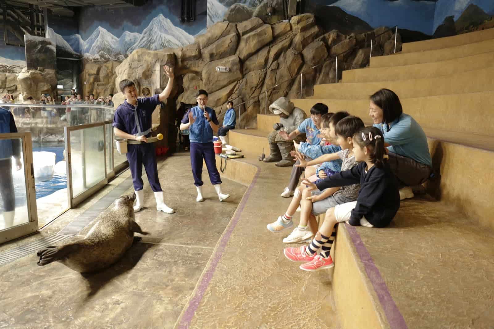 海洋公園   夏日歷險2019「暑期動物體驗營」早鳥92折優惠：第4張圖片/優惠詳情