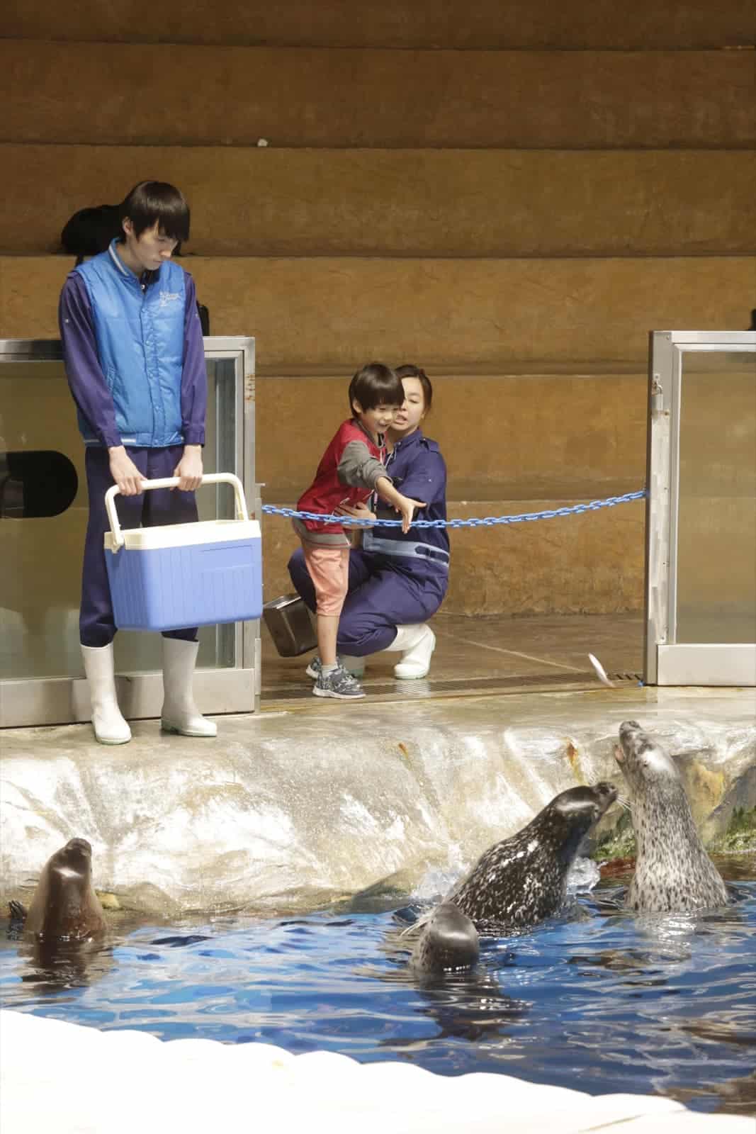 海洋公園   夏日歷險2019「暑期動物體驗營」早鳥92折優惠：第3張圖片/優惠詳情