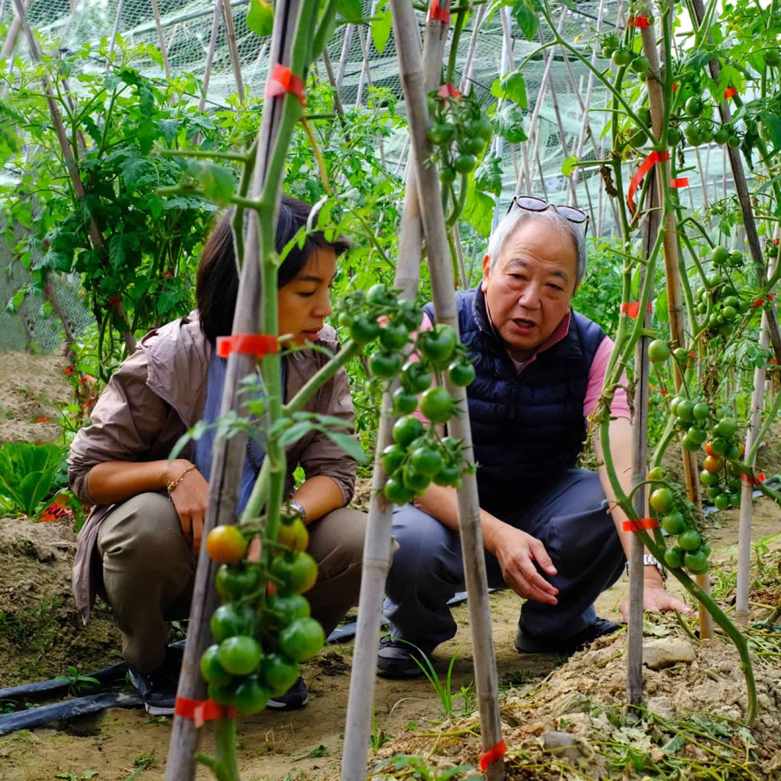 香港網上農墟「早晨」Jou Sun：由零創夢　開發打破傳統的食材系統：第4張圖片/優惠詳情