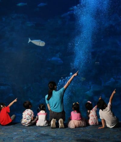 海洋公園「遊樂童萌會」推出「創意表達話劇班」課程早鳥優惠