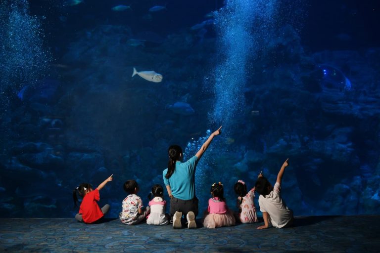 海洋公園「遊樂童萌會」推出「創意表達話劇班」課程早鳥優惠