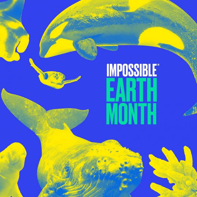 地球月 X IMPOSSIBLE FOODS 餐廳外賣/堂食：送精緻禮物