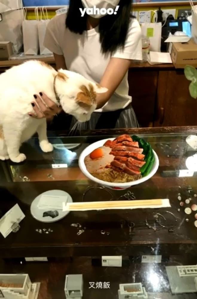 [免費] Yahoo! 25週年 推出 「十大熱搜香港地道美食」 AR濾鏡：第5張圖片/優惠詳情