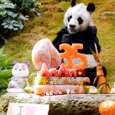 海洋公園 大熊貓送上生日祝福：禮品低至7折優惠
