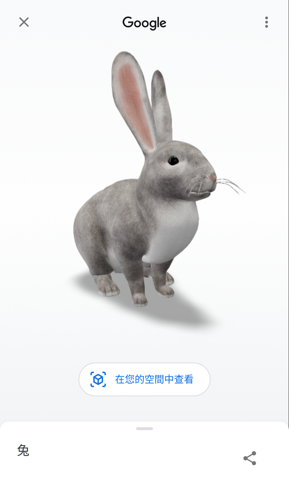 精選慳家人優惠推介：免費玩！Google AR 召喚 兔仔 同你拜年＞即刻去睇睇優惠詳情啦！