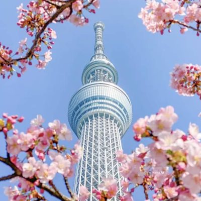 Klook 日本旅遊額外8折優惠碼