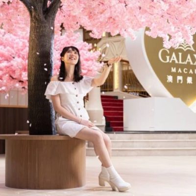 澳門銀河酒店 Galaxy Hotel Macao 「澳門銀河」櫻花文化節