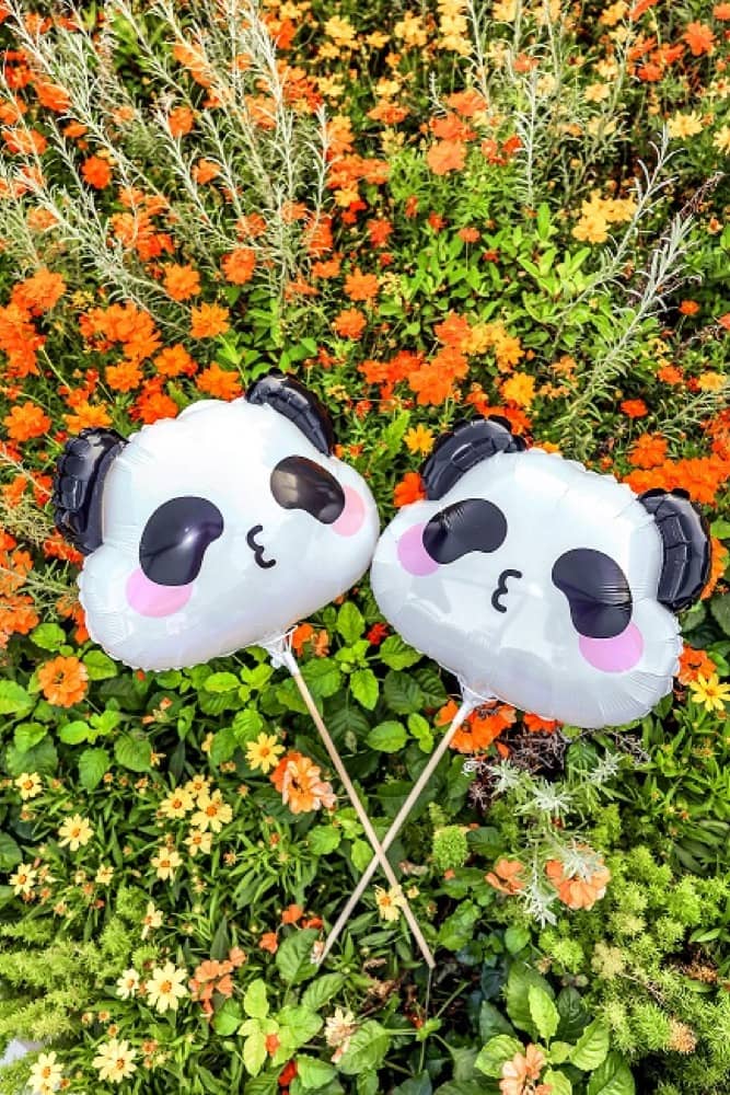 精選慳家人優惠推介：海洋公園 Ocean Park 慈善 Panda 「童」繪樂比賽 / 送可愛熊貓氣球＞即刻去睇睇優惠詳情啦！