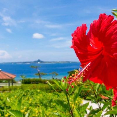 Expedia X JCB信用卡酒店84折優惠碼