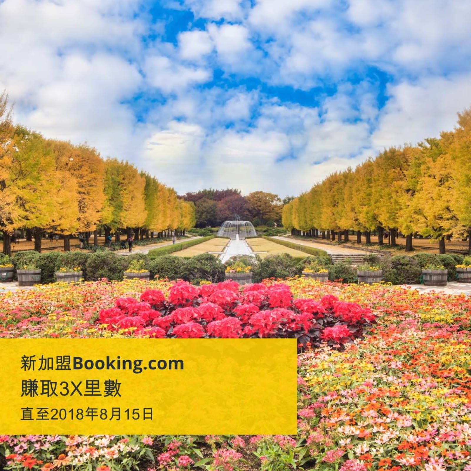 精選慳家人優惠推介:Booking.com訂酒店賺3倍Asiamiles里數!>即刻去睇睇優惠詳情啦!